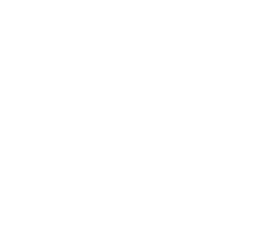 Norse Performance logo